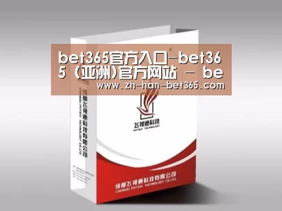 项目名称十三