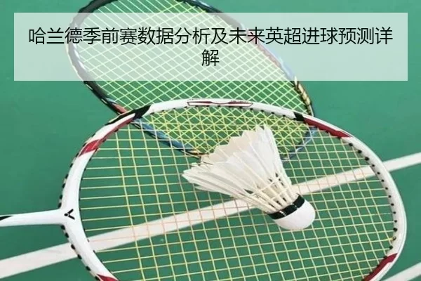 哈兰德季前赛数据分析及未来英超进球预测详解