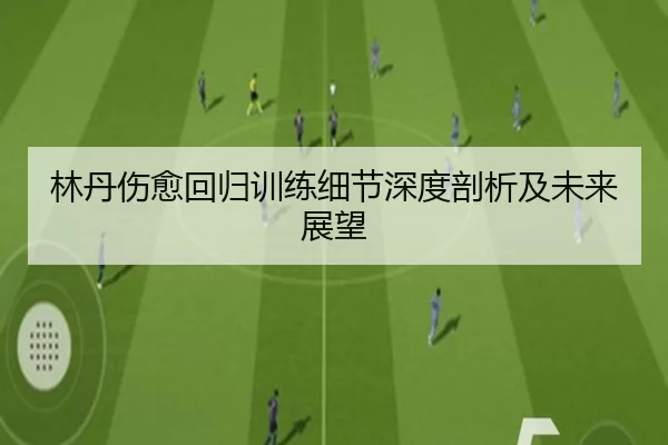 林丹伤愈回归训练细节深度剖析及未来展望