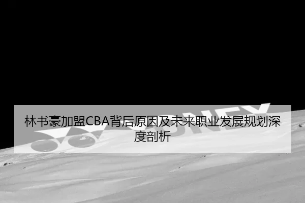林书豪加盟CBA背后原因及未来职业发展规划深度剖析