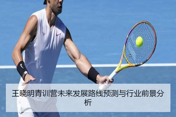 王晓明青训营未来发展路线预测与行业前景分析