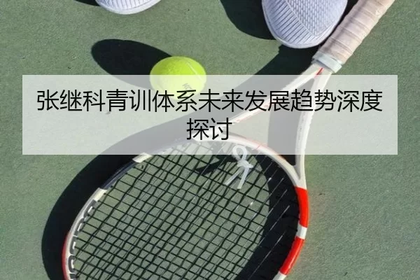 张继科青训体系未来发展趋势深度探讨