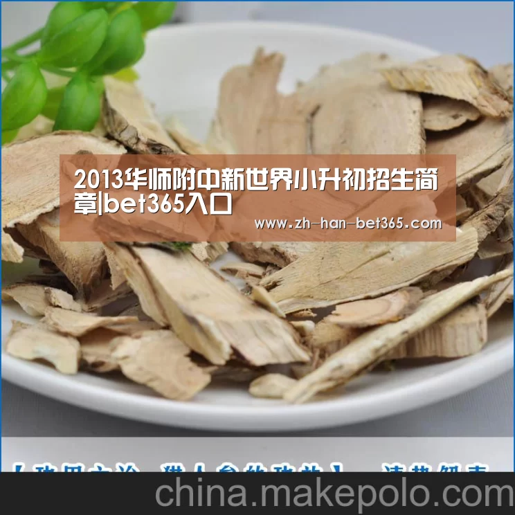 2013华师附中新世界小升初招生简章|bet365入口(图1) bet365官网